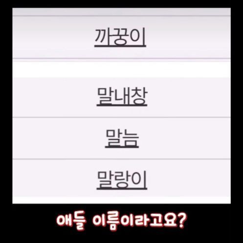 대한민국 이름 등록 현황 | 인스티즈