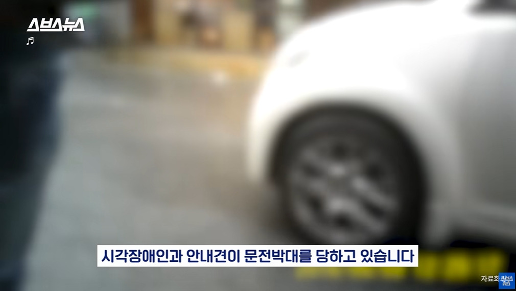 카메라 의식하는 안내견 조이 | 인스티즈