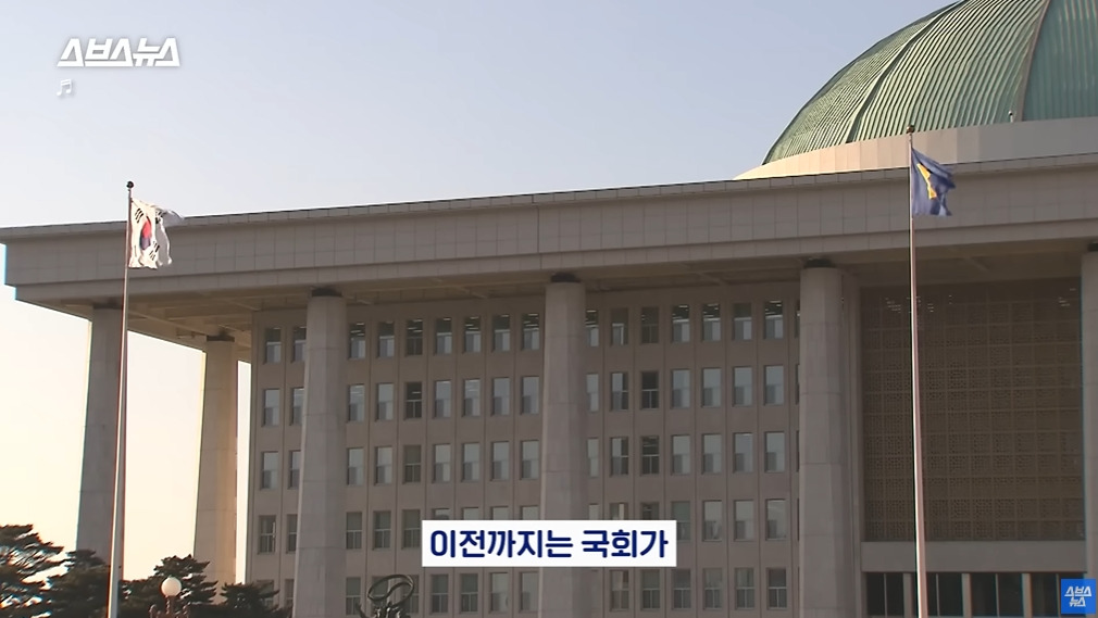 카메라 의식하는 안내견 조이 | 인스티즈