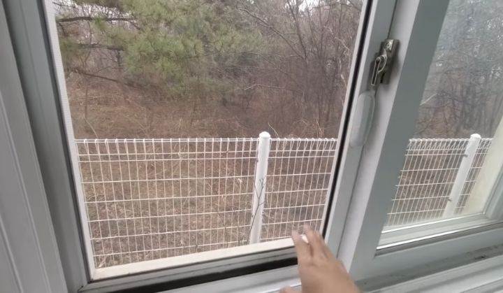 방충망을 연적이 없는데 모기가 자꾸 들어오는 이유;; | 인스티즈