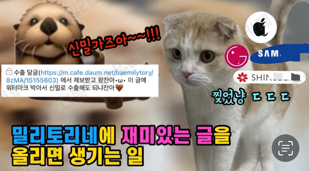 높은 확률로 나랑 안 맞는 유튜브 썸네일 | 인스티즈