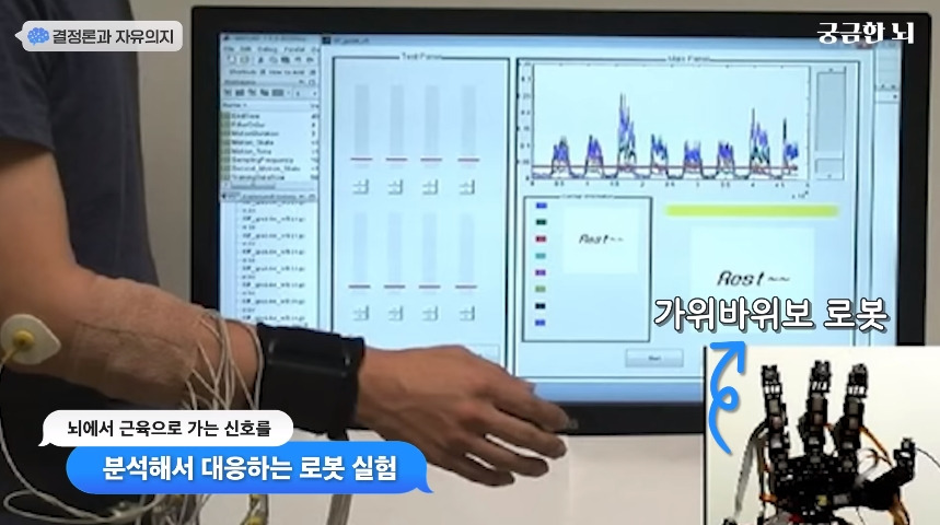 인간의 자유의지가 없다는 걸 증명한 충격적인 실험.jpg | 인스티즈