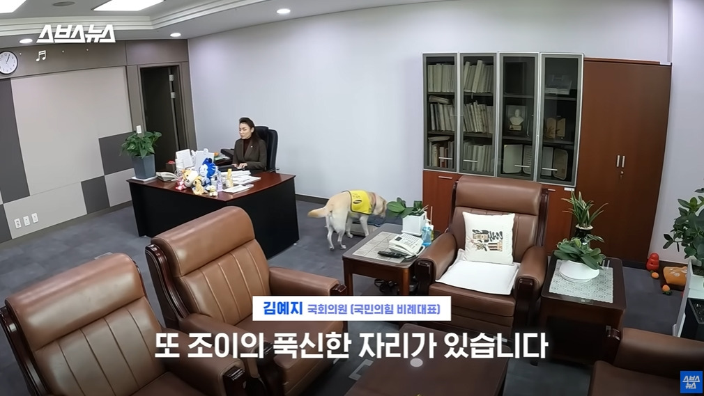 카메라 의식하는 안내견 조이 | 인스티즈