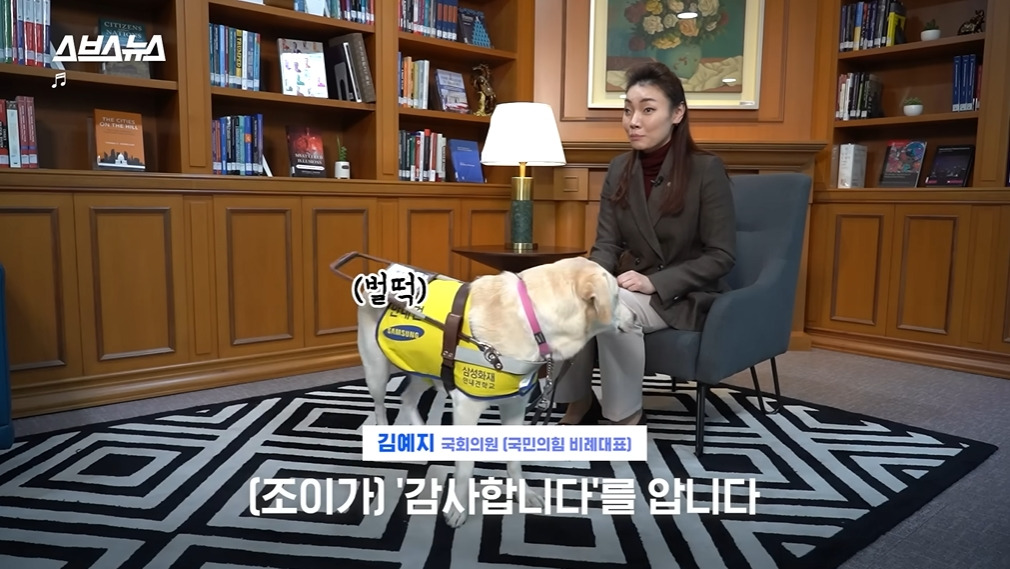 카메라 의식하는 안내견 조이 | 인스티즈