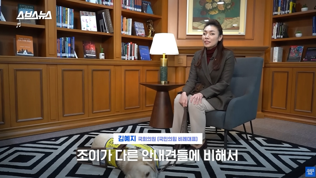 카메라 의식하는 안내견 조이 | 인스티즈