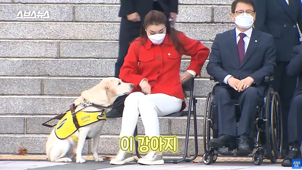 카메라 의식하는 안내견 조이 | 인스티즈