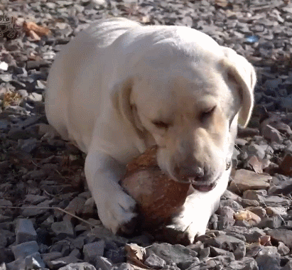 한국인의 밥상 레전드들.gif | 인스티즈