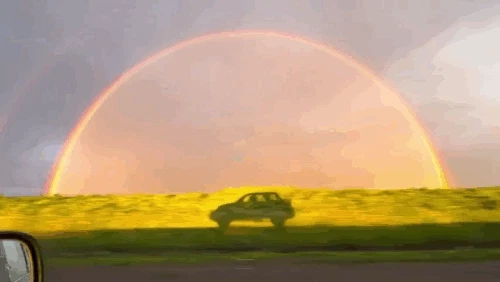  레딧에서 화제인 창문 밖 풍경.GIF