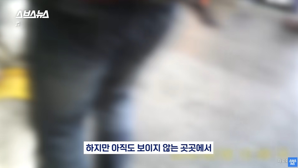 카메라 의식하는 안내견 조이 | 인스티즈