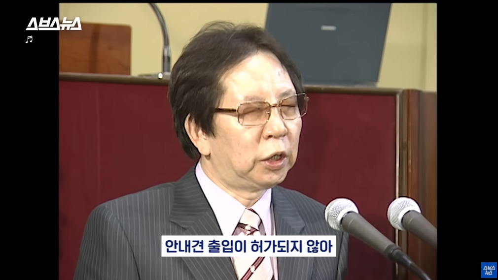 카메라 의식하는 안내견 조이 | 인스티즈