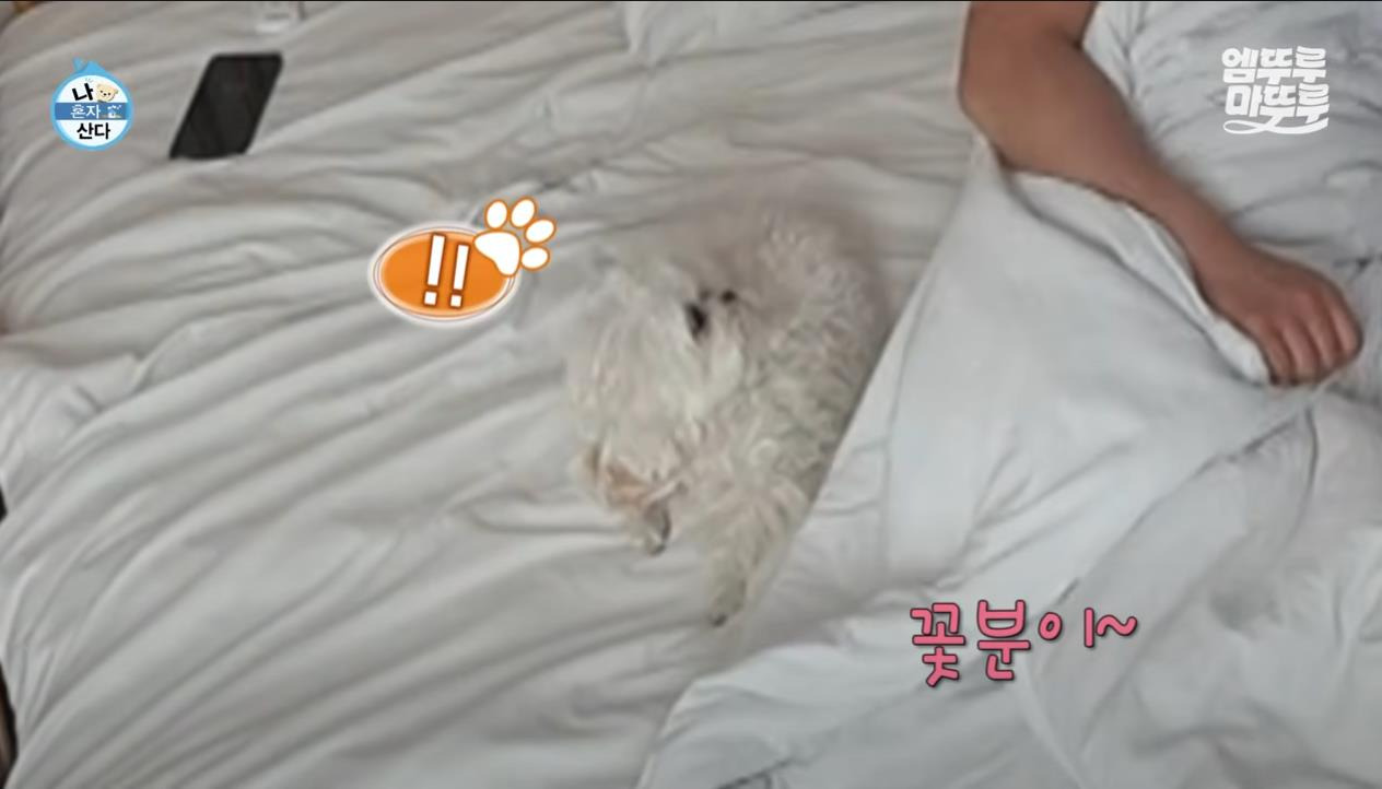  [나혼자산다] 정말 행복해 보이고, 낭만 미친 거 같은 구성환의 부산 한 달 살기