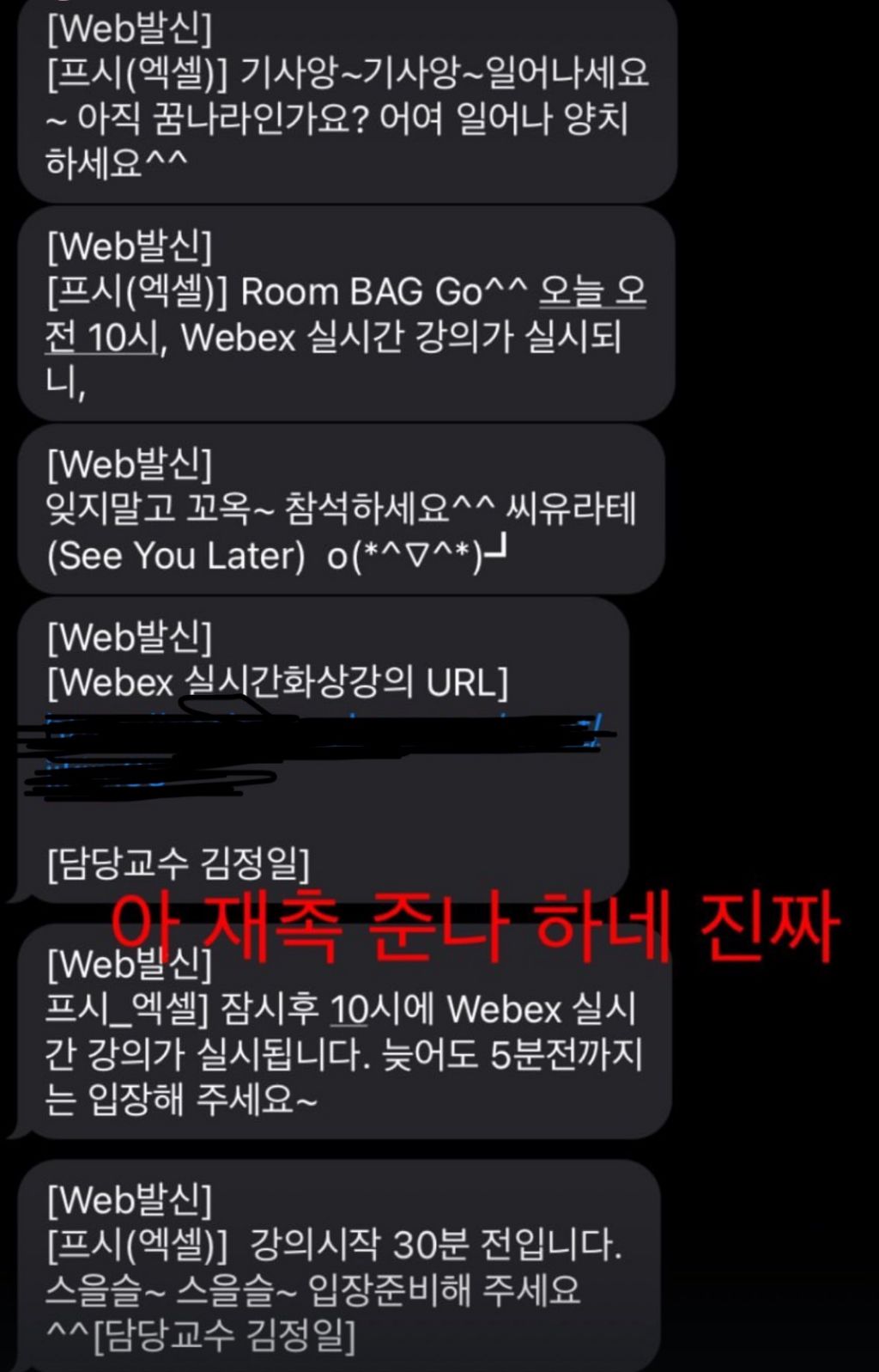  버블 구독 느낌나는 교수님 문자1