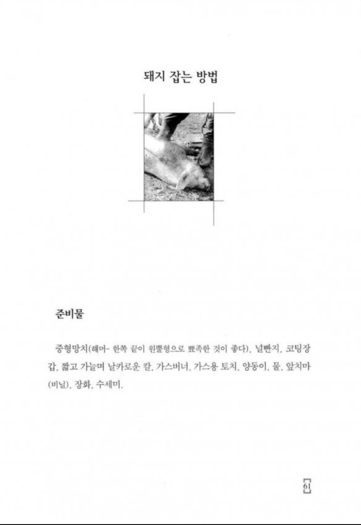 내 손으로 만드는 햄, 소시지, 베이컨 | 인스티즈