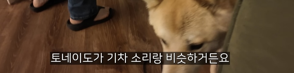 토네이도 간신히 피해간 올리버쌤 동네 | 인스티즈