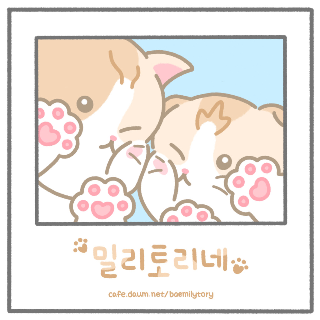  갓반인스러운 배경화면은 뭘까.. 나 배경 바꿔야되는데 난 너무..