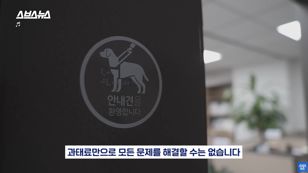카메라 의식하는 안내견 조이 | 인스티즈