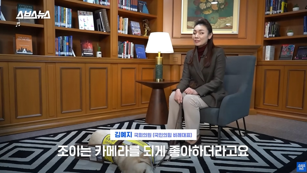 카메라 의식하는 안내견 조이 | 인스티즈