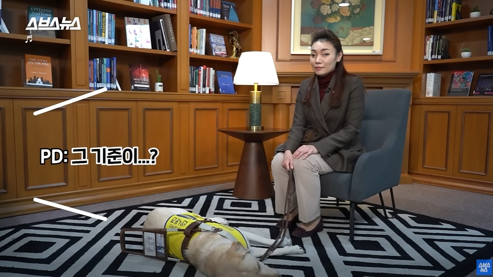 카메라 의식하는 안내견 조이 | 인스티즈
