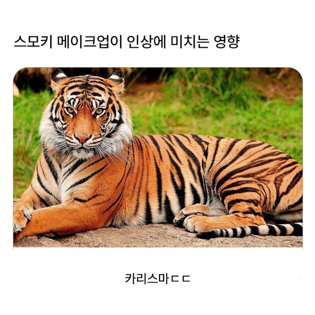 스모키 메이크업 전과 후 | 인스티즈