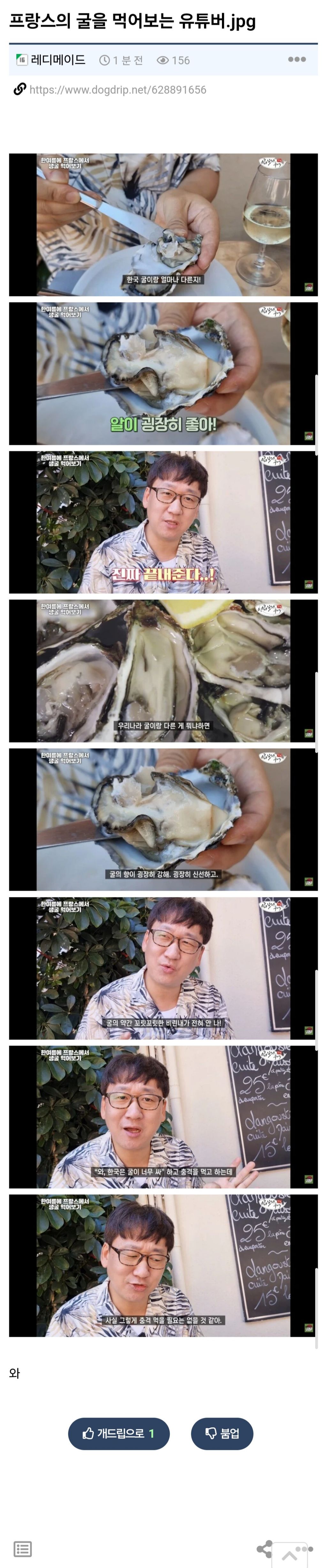  프랑스의 굴을 먹어보는 유튜버.jpg