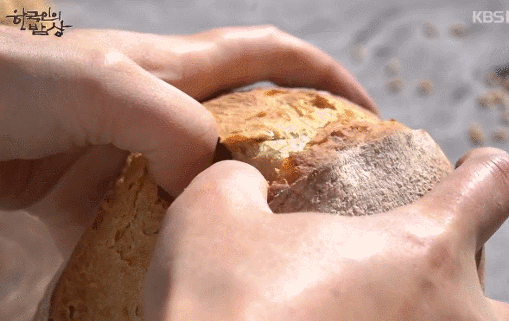 한국인의 밥상 레전드들.gif | 인스티즈