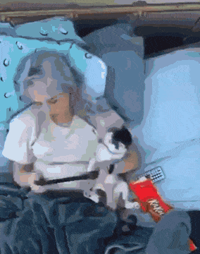  고양이와의 휴일.gif