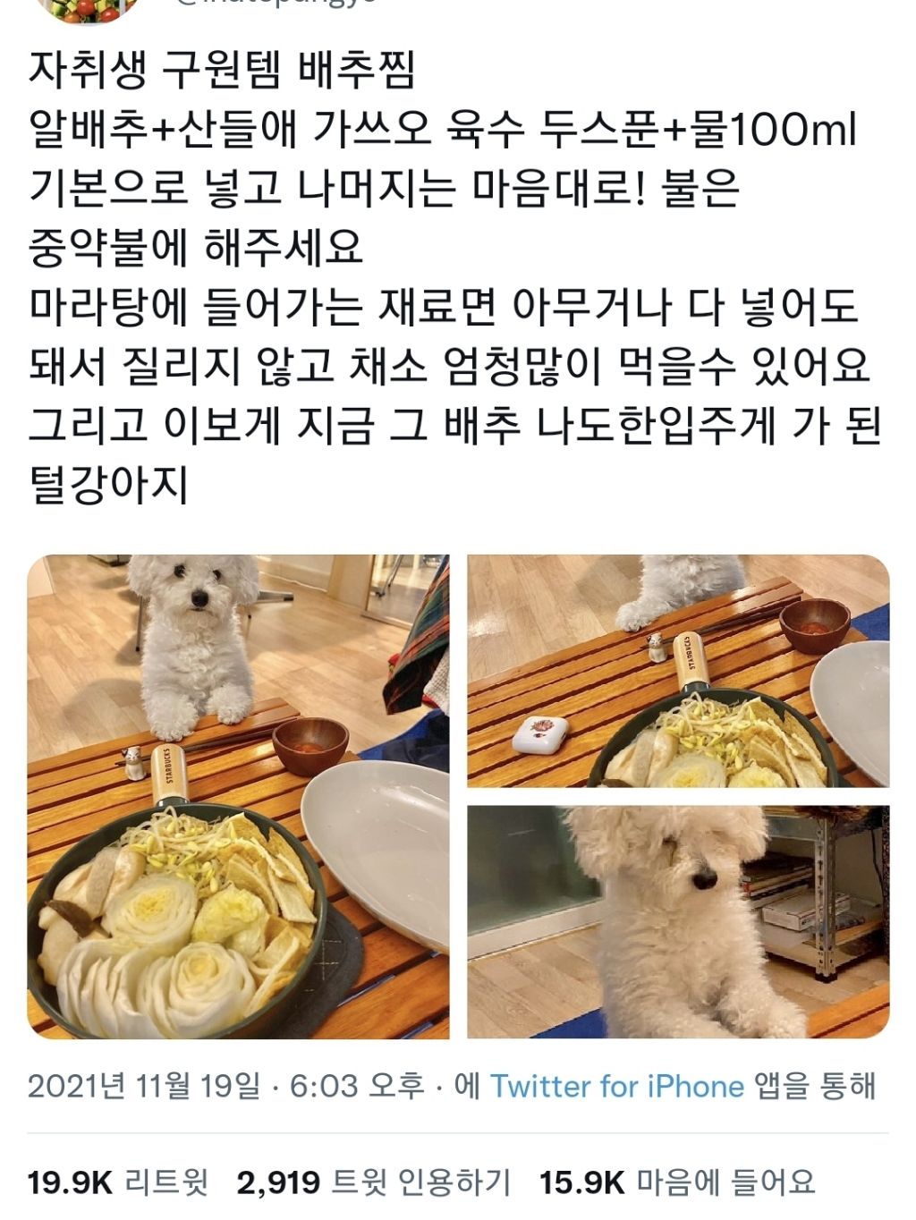 요즘 트위터에서 유행 중인 배추찜 레시피 | 인스티즈