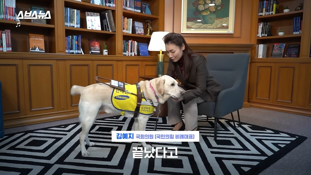 카메라 의식하는 안내견 조이 | 인스티즈