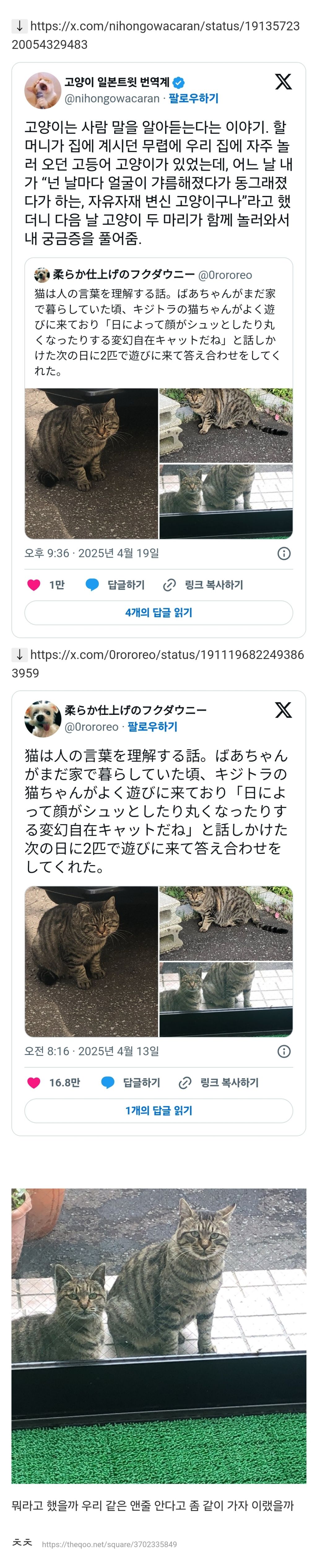  나아냥