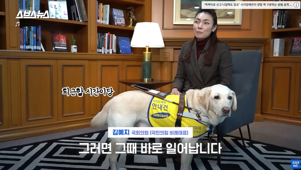 카메라 의식하는 안내견 조이 | 인스티즈