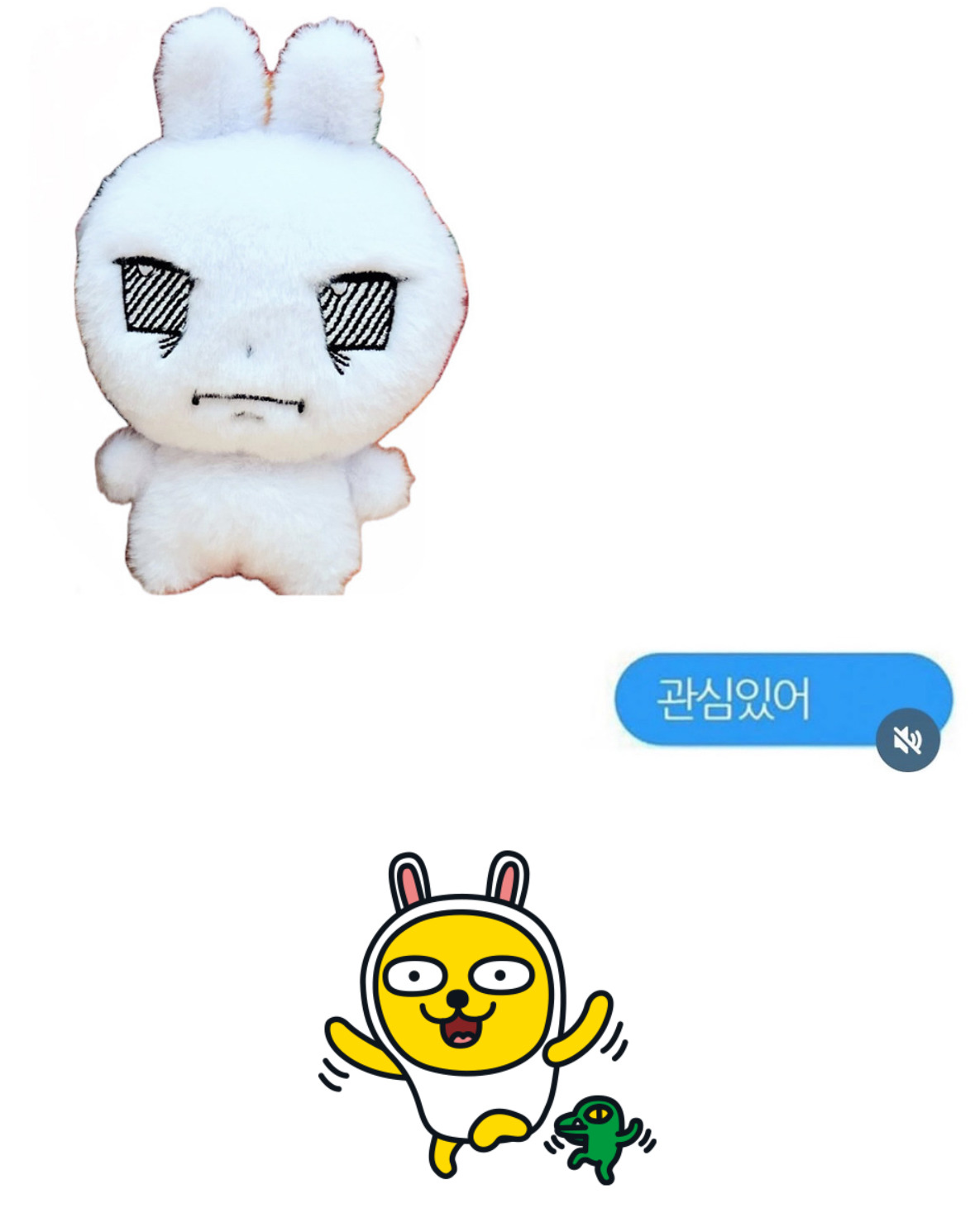 외요 제가 은지인형 소유한 사람처럼 보이나요? | 인스티즈
