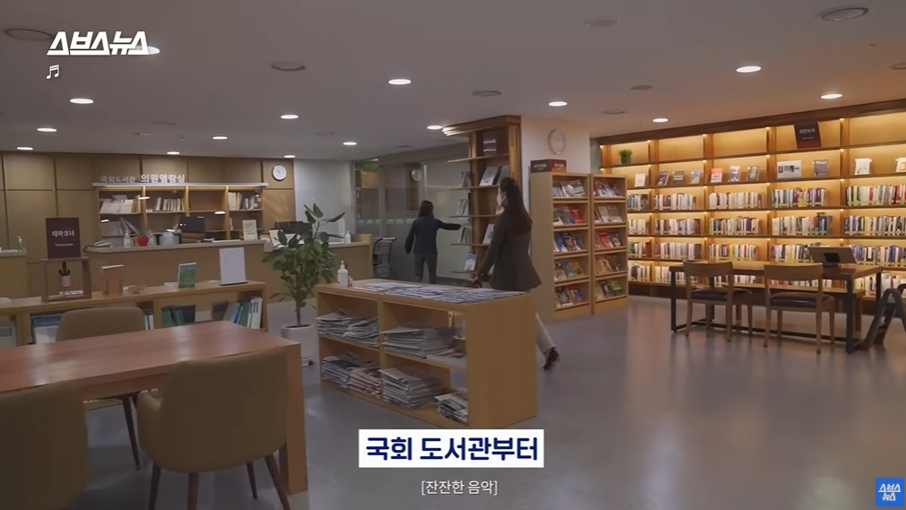 카메라 의식하는 안내견 조이 | 인스티즈
