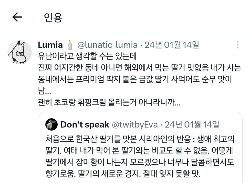  처음으로 한국산 딸기를 맛본 시리아인의 반응