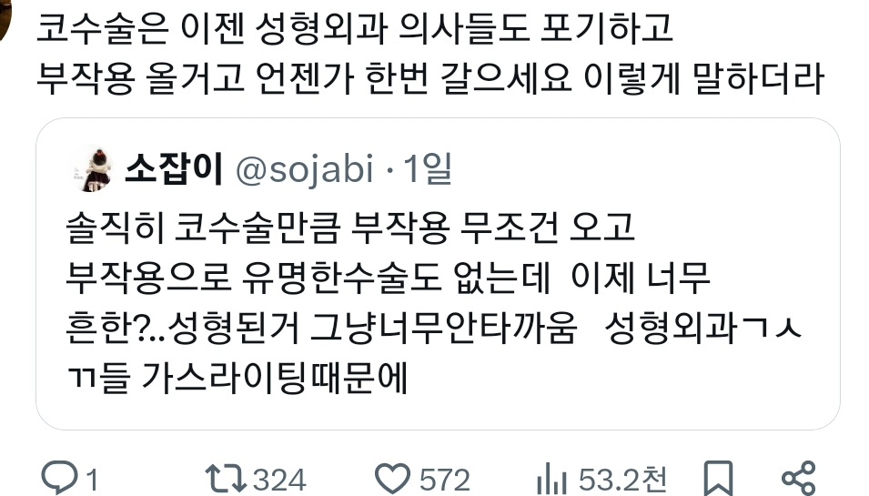 성형 정병 상담러가 된 진수 친구 덕에 붐업된 각종 성형 부작용들 이야기.twt | 인스티즈