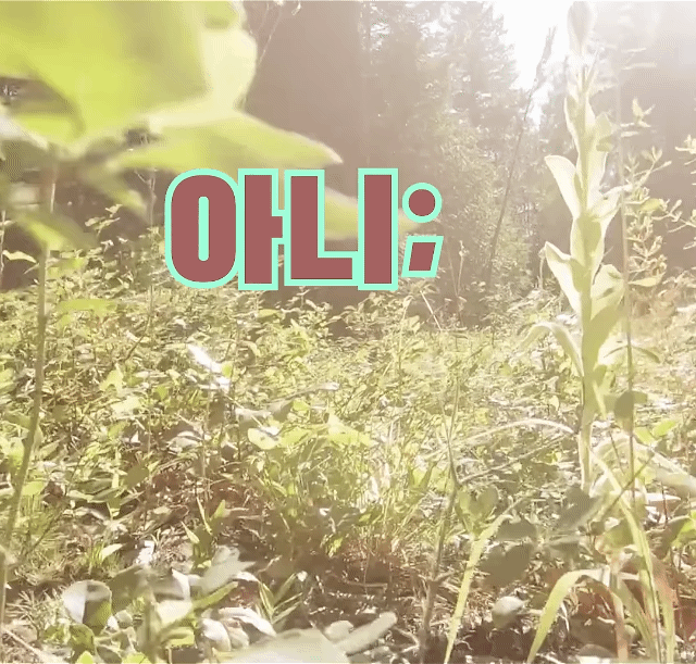 제주도에 백화점도 대형 쇼핑몰도 이케아도 없는데 불편하지 않으신가요?ㅠㅜ | 인스티즈