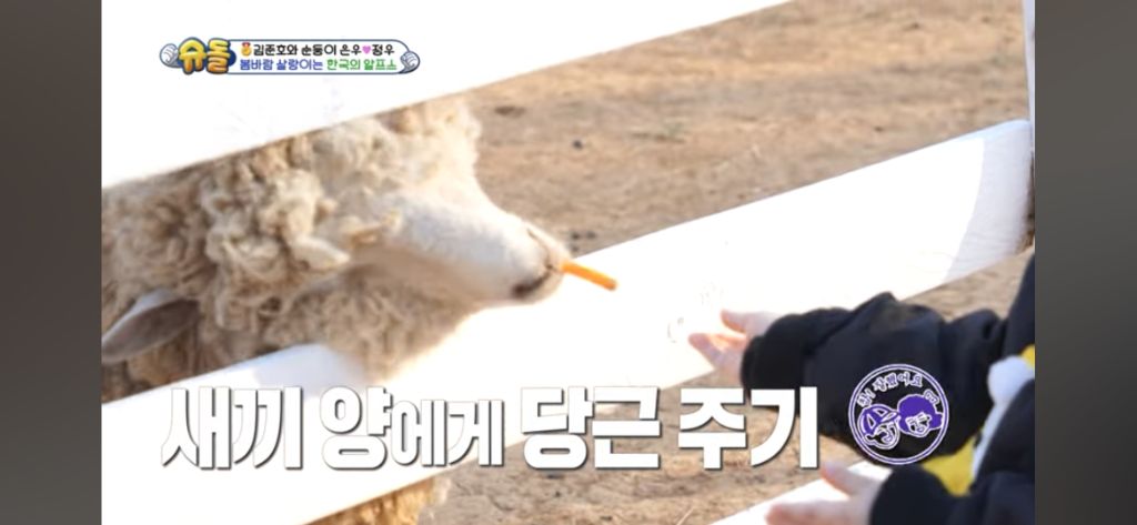 [슈돌] 목장 먹이주기 체험하는 정우 | 인스티즈