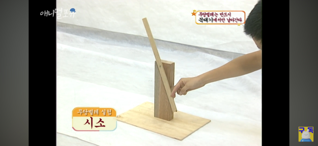 졸라귀여운 무당벌레는 OOO에서 날아간다 | 인스티즈