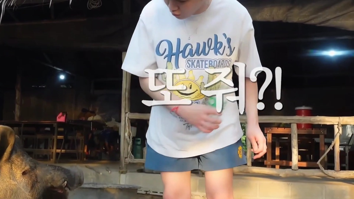 태국 여행 갔다가 온 동네 돼지들한테 물 먹여주고 다닌 샤이니 키ㅋㅋㅋㅋㅋㅋ.jpg | 인스티즈