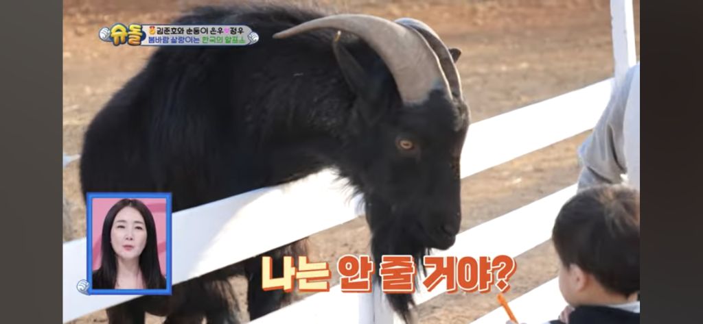 [슈돌] 목장 먹이주기 체험하는 정우 | 인스티즈