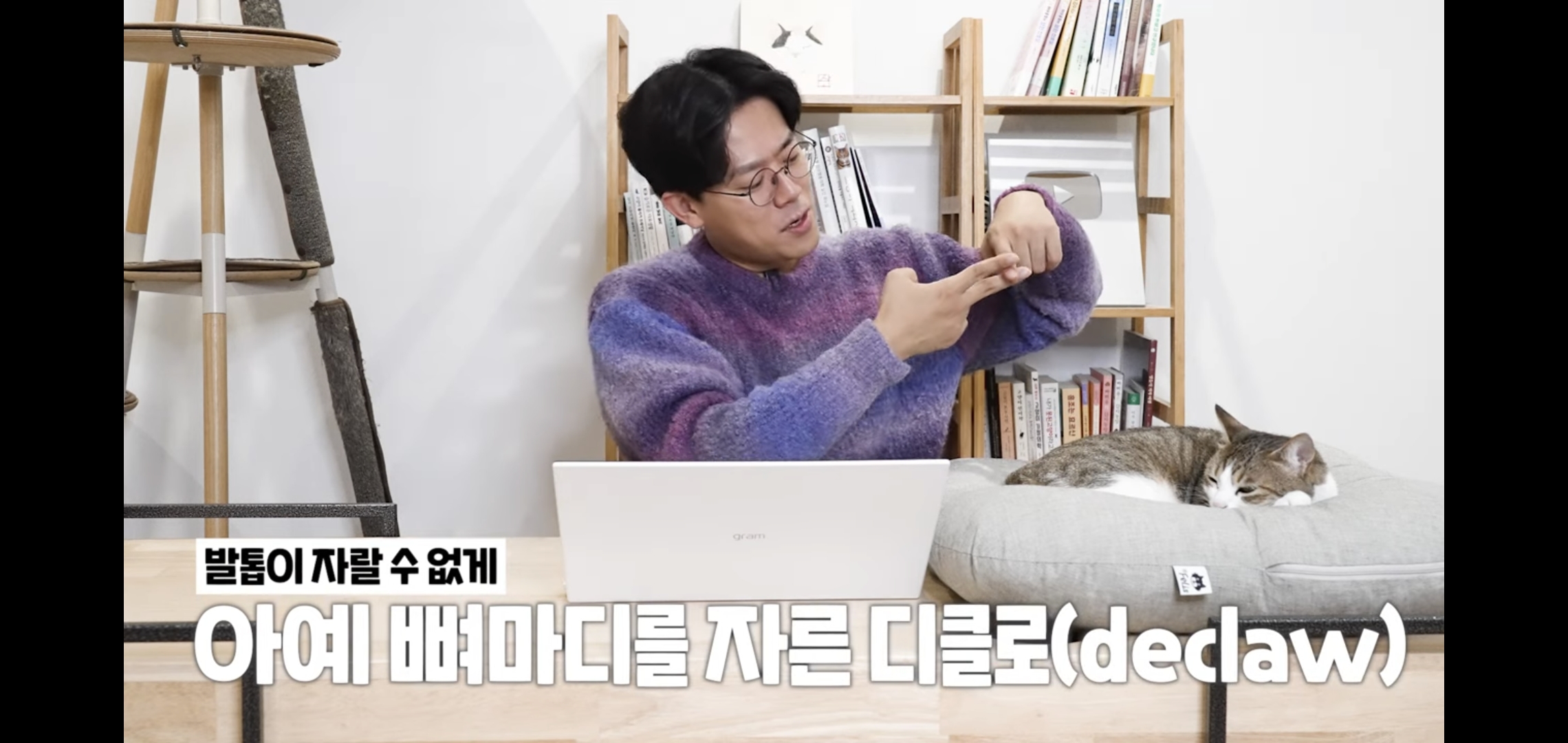 연예인이 병원에 데려온 고양이 보고 기겁한 미야옹철.jpg | 인스티즈