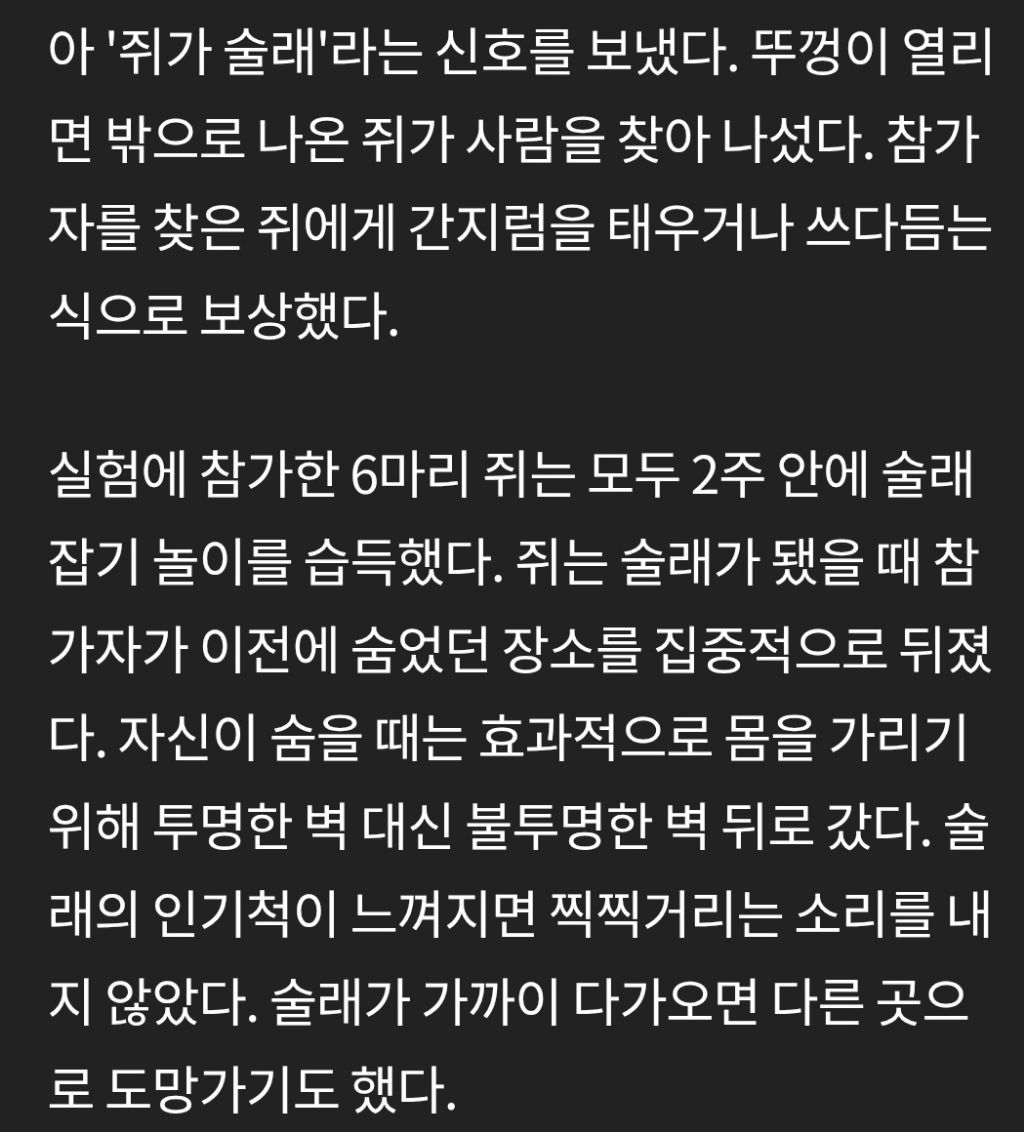 쥐는 의외로 굉장히 고등하다 | 인스티즈