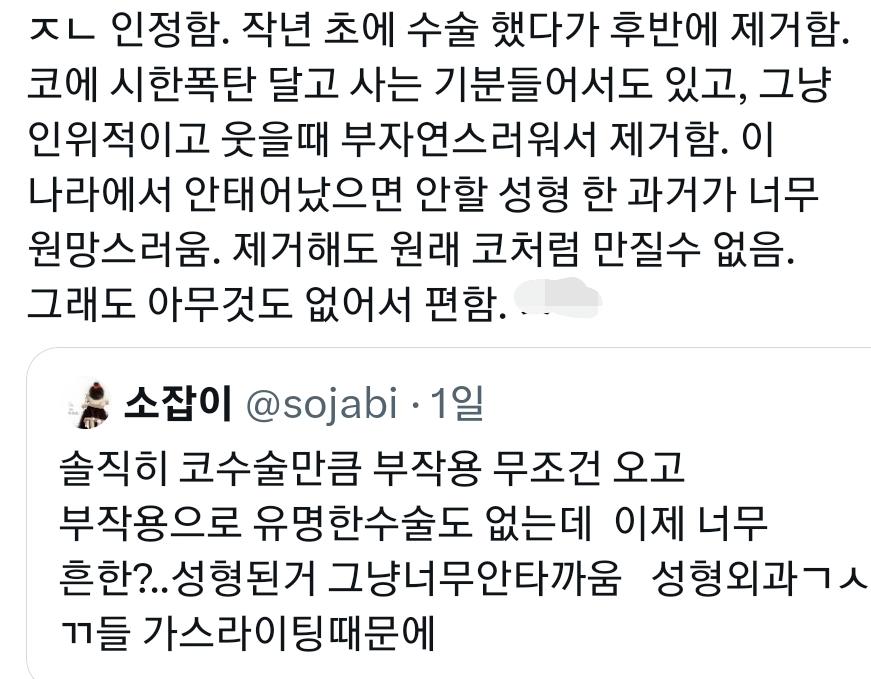 성형 정병 상담러가 된 진수 친구 덕에 붐업된 각종 성형 부작용들 이야기.twt | 인스티즈