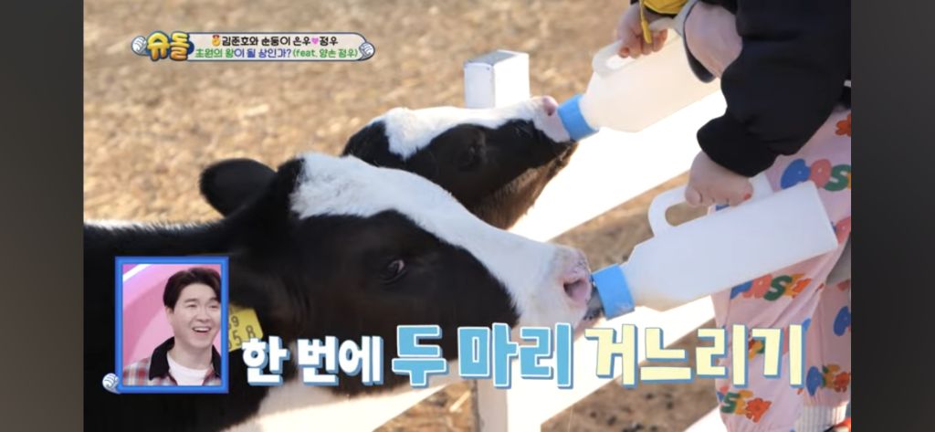 [슈돌] 목장 먹이주기 체험하는 정우 | 인스티즈