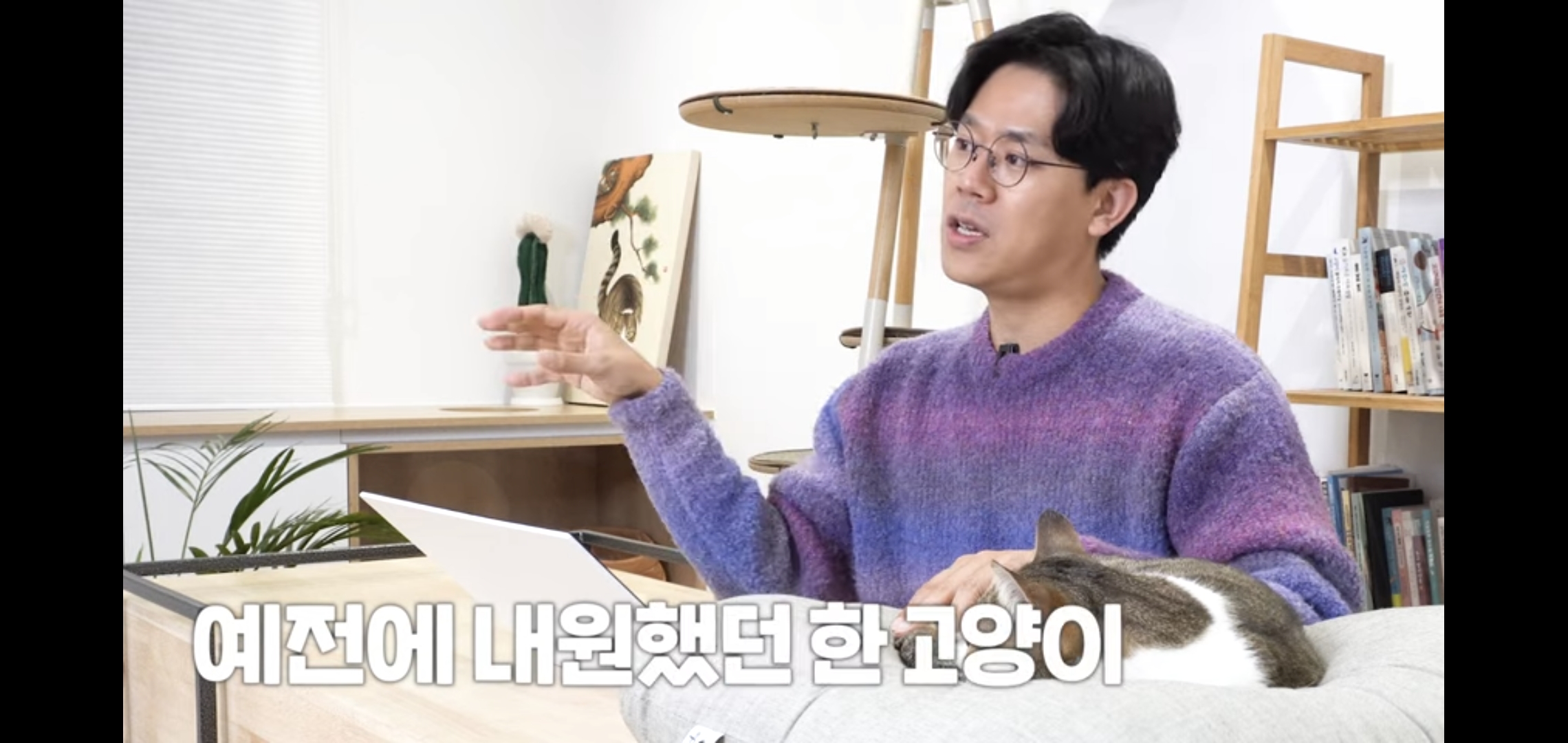 연예인이 병원에 데려온 고양이 보고 기겁한 미야옹철.jpg | 인스티즈
