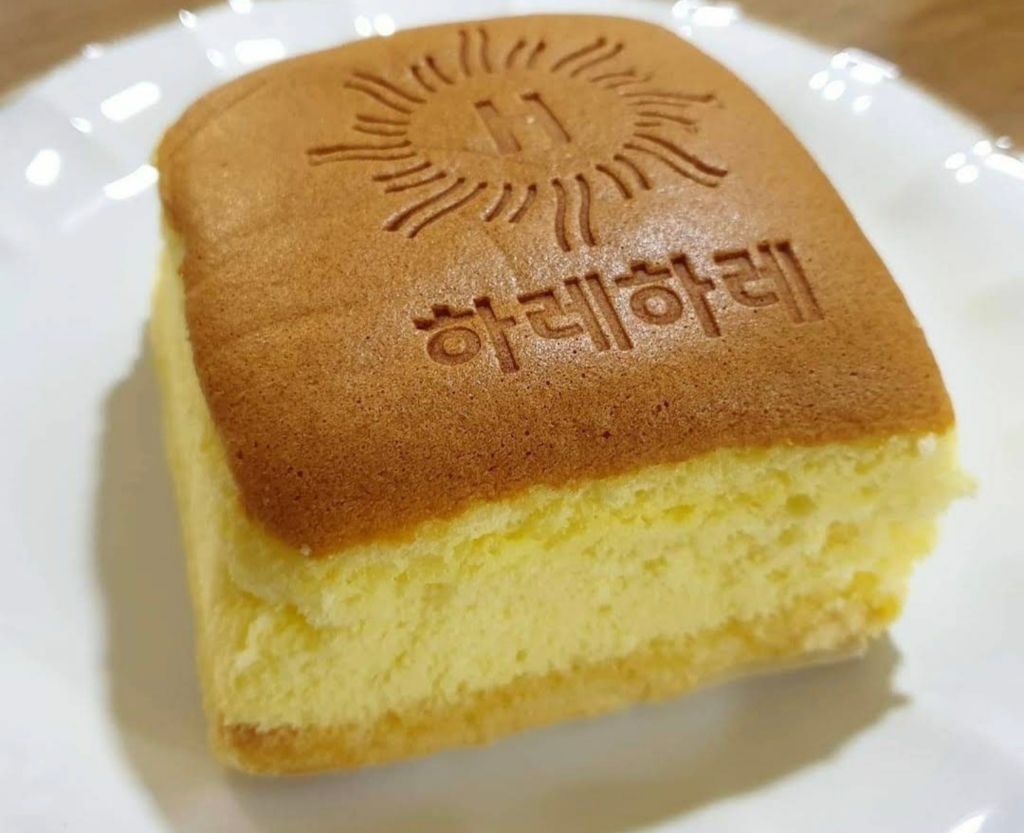 대전 하레하레 | 인스티즈