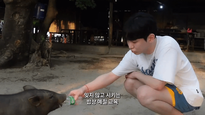 태국 여행 갔다가 온 동네 돼지들한테 물 먹여주고 다닌 샤이니 키ㅋㅋㅋㅋㅋㅋ.jpg | 인스티즈