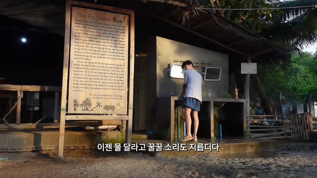 태국 여행 갔다가 온 동네 돼지들한테 물 먹여주고 다닌 샤이니 키ㅋㅋㅋㅋㅋㅋ.jpg | 인스티즈