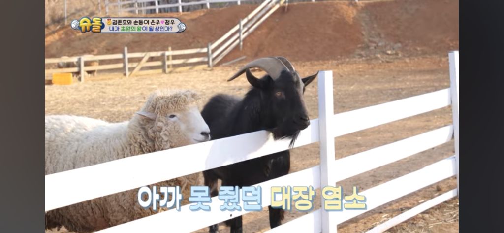 [슈돌] 목장 먹이주기 체험하는 정우 | 인스티즈