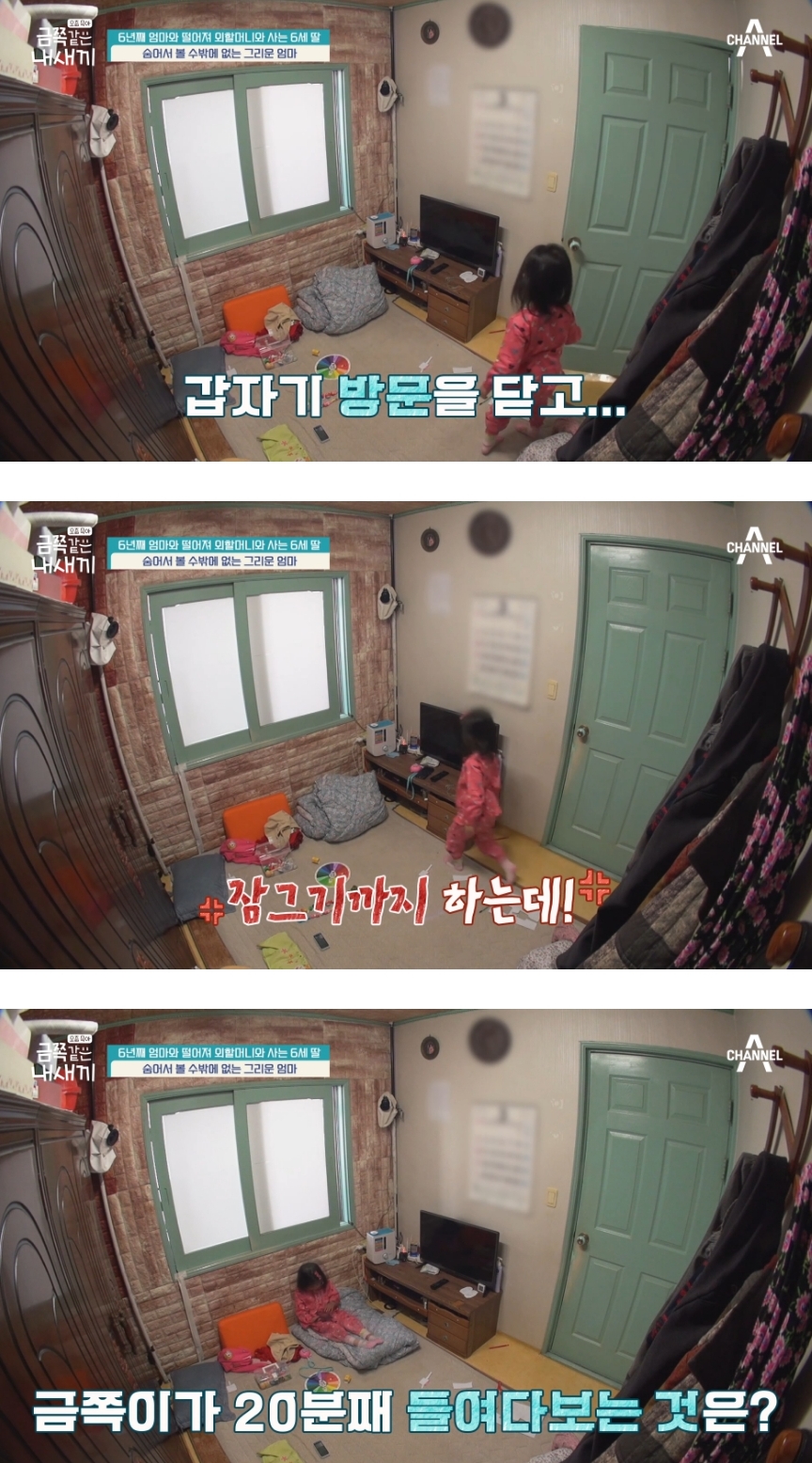 1년에 3번 엄마아빠를 만난다는 금쪽이가 시골집으로 돌아왔을때 한 행동 | 인스티즈