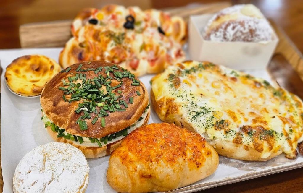 대전 하레하레 | 인스티즈